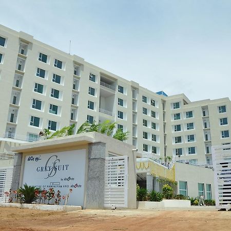Vengal Grey Suit المظهر الخارجي الصورة